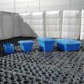 Купить емкость пластиковую Ванна K 400л с крышкой в Минске